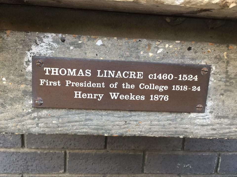 Thomas Linacre's bust, RCPL, London (by Adrian Thomas) (2).jpg